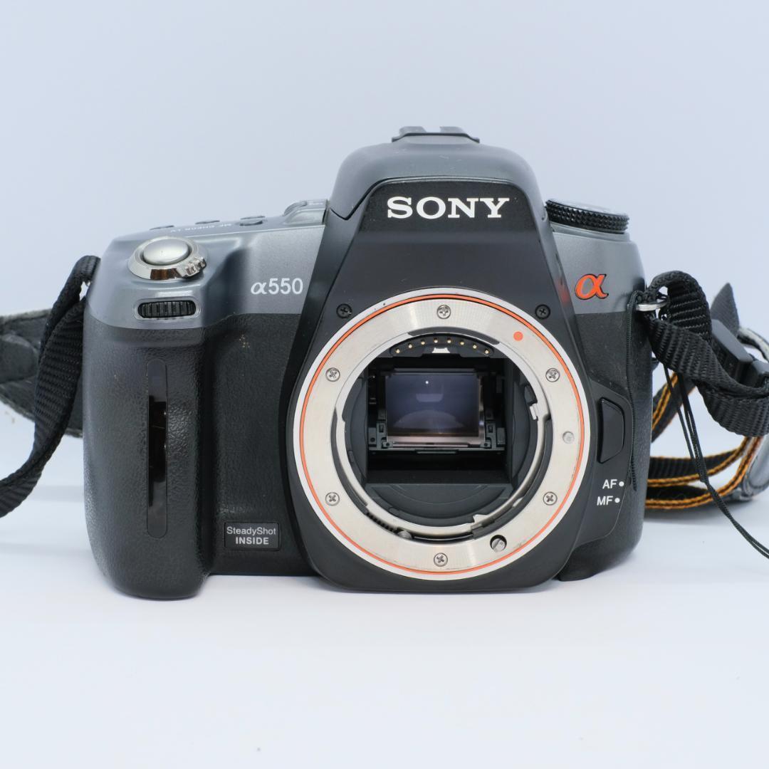 ❤️初心者オススメ　SONY α550 ダブルズームレンズキット　掃除セット付き