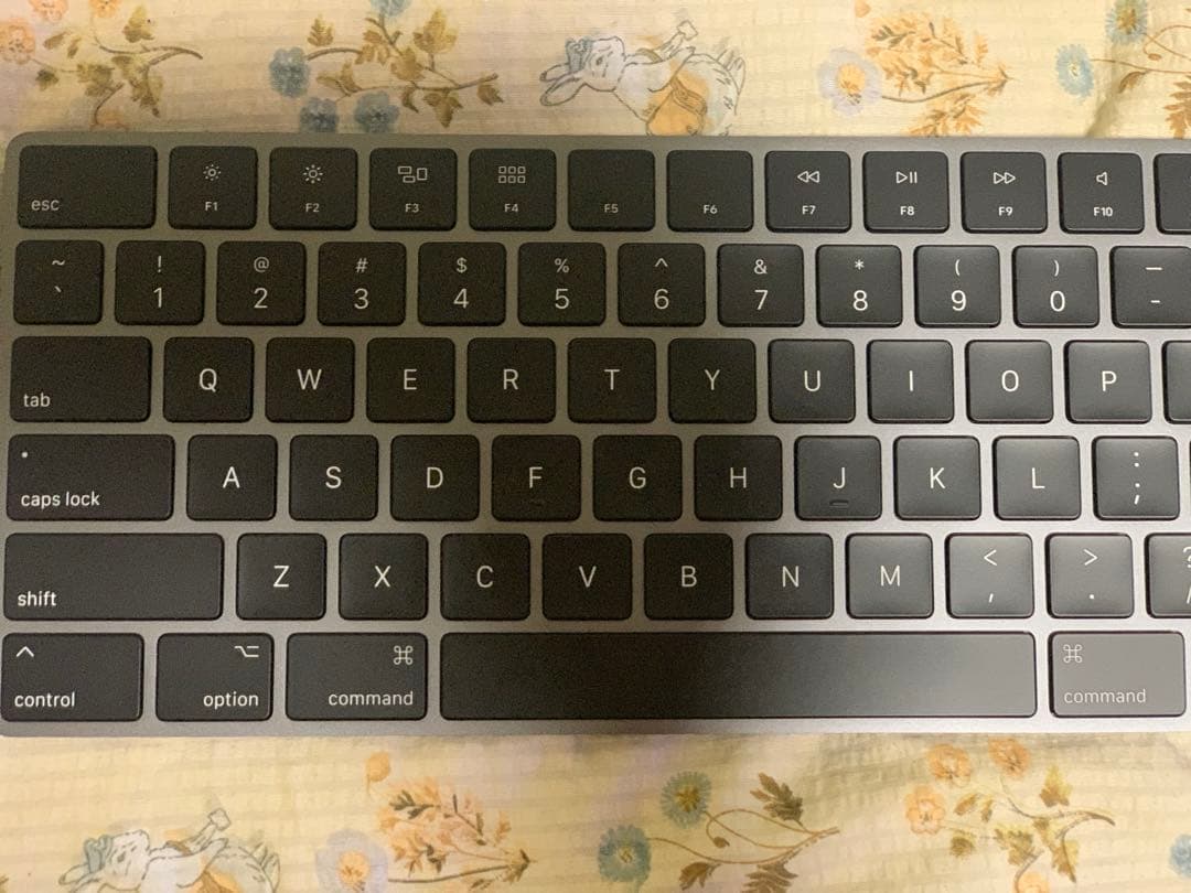 Apple 純正 Magic Keyboard キーボード マウス ケーブル