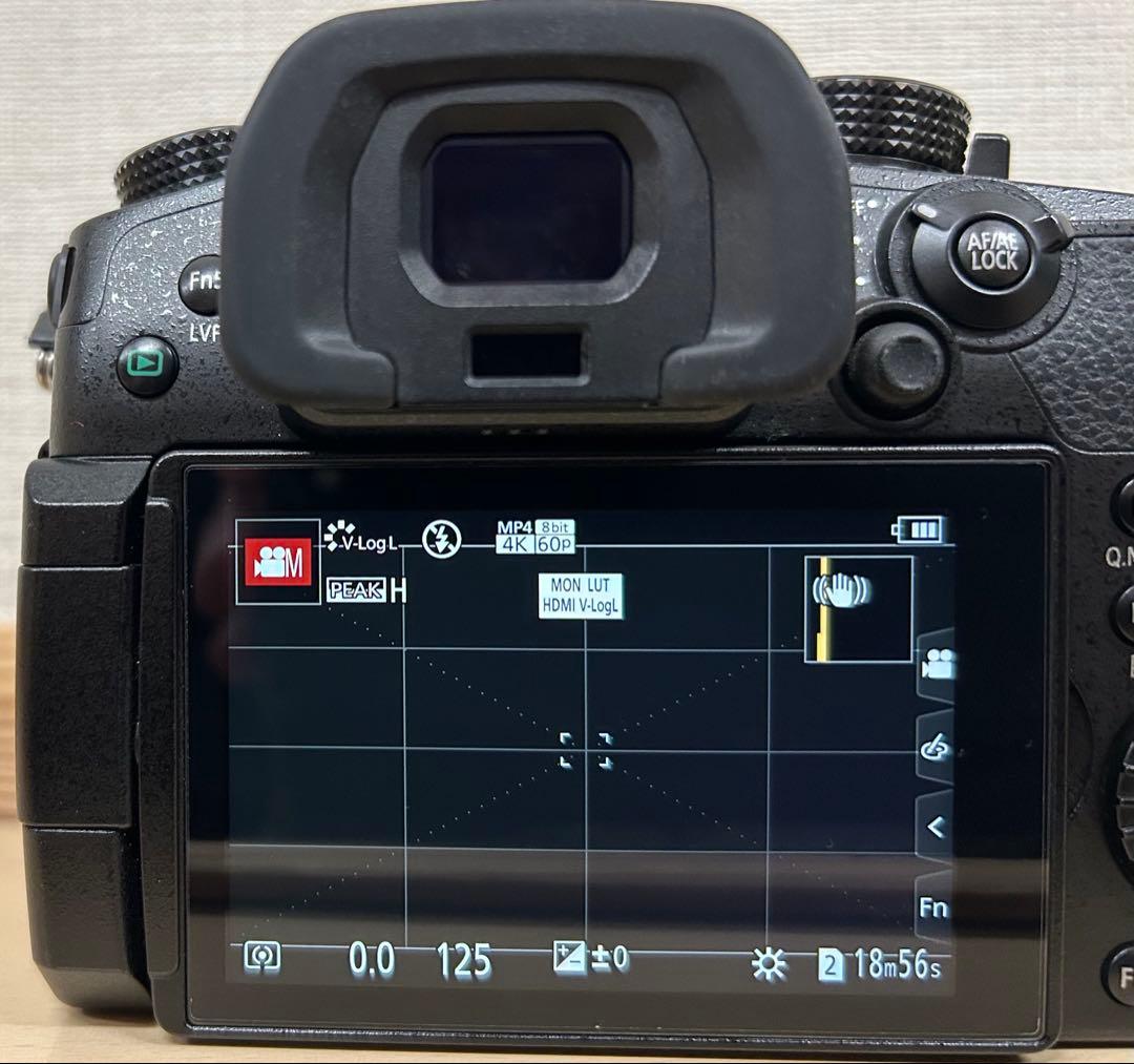 【LUMIX】美品GH5 +V-Log撮影可能　おまけ付