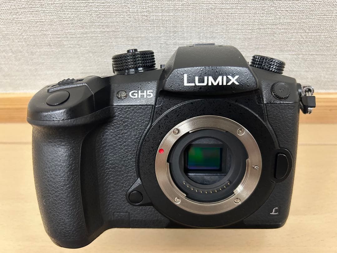 【LUMIX】美品GH5 +V-Log撮影可能　おまけ付