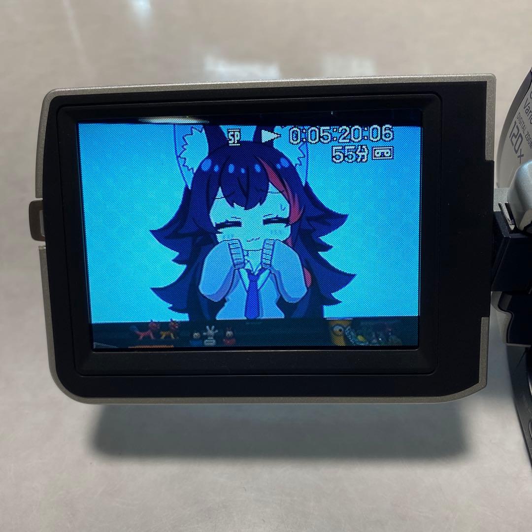 SONY miniDV HANDYCAM DCR-TRV107 ③