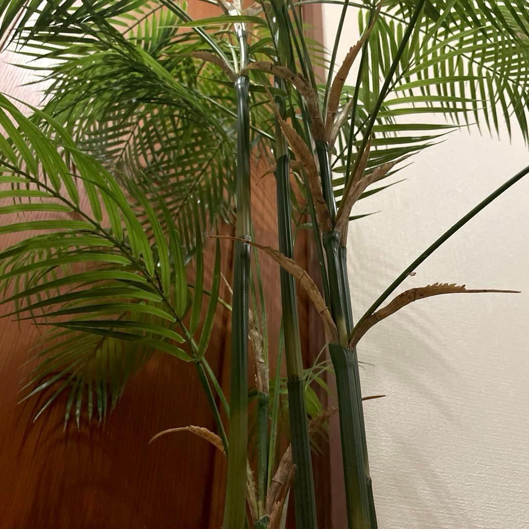 【港区にて直接お渡しも可能】　エミリオ　ロバ　パーム　グリーン