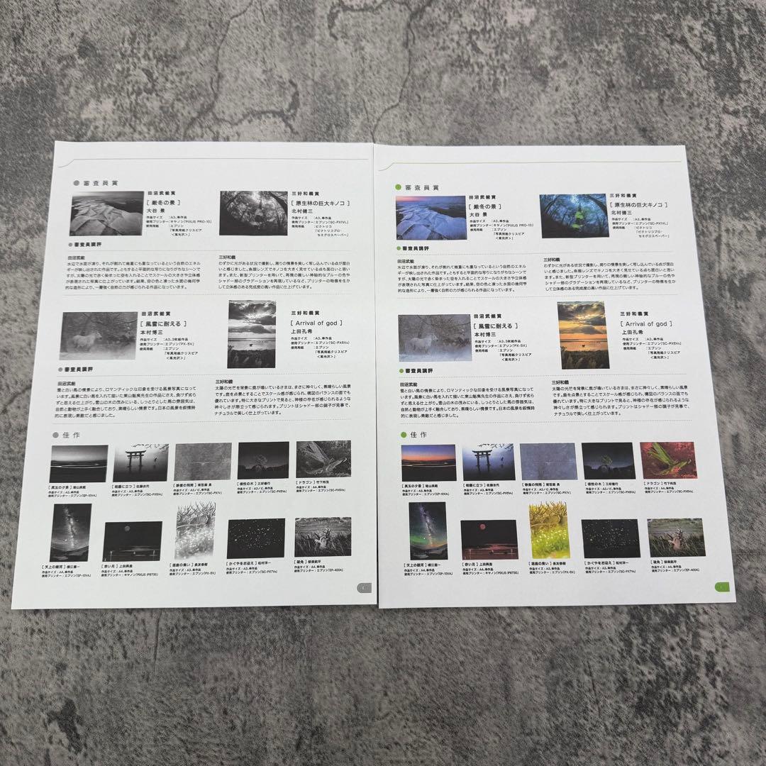 EPSON　EW-M754TB　インクジェットプリンター　印刷枚数約2800枚