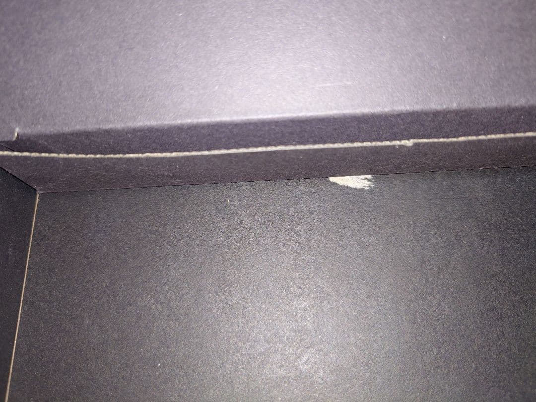 【ほぼ未使用】Fiio / FT7 ※パッケージダンボールに一部破損有