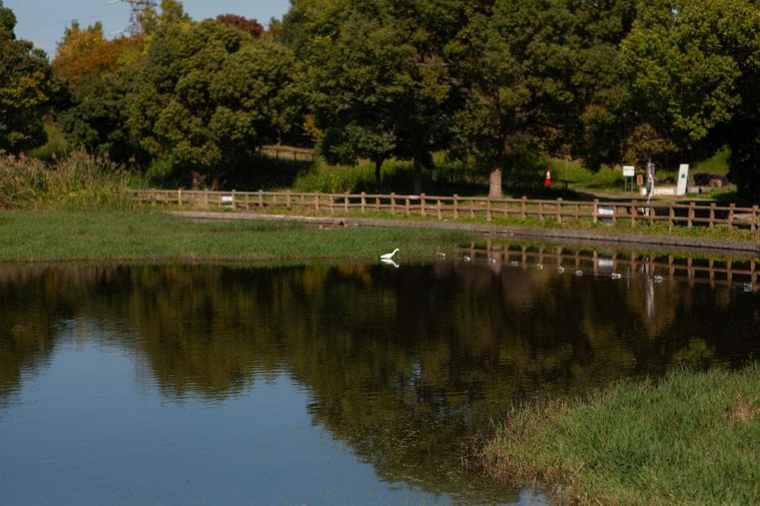 Carl Zeiss Planar T f1.4 85mm ZE キャノン用