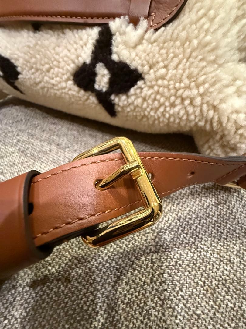 Louis Vuitton LVボディバッグ バムバッグモノグラムテディボア