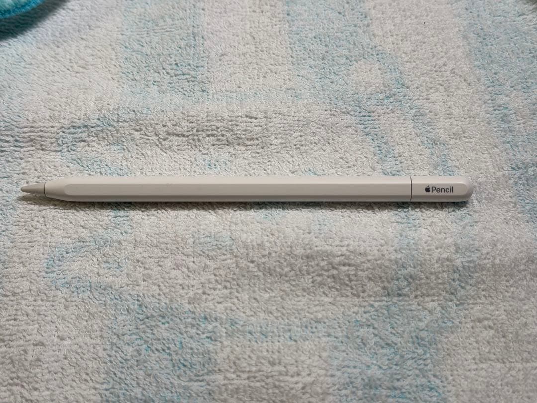 Apple Pencil USB-C 美品 限定保証あり 動作確認済み