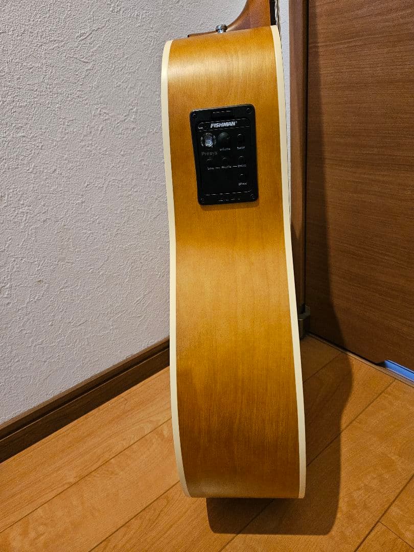 ギター NORMAN B18 CW (fishman presys)