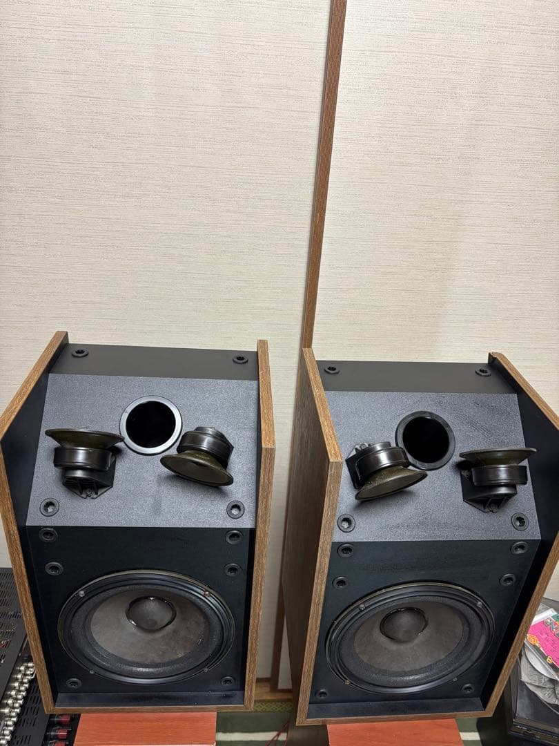 Bose 301 series ii 珍しい色
