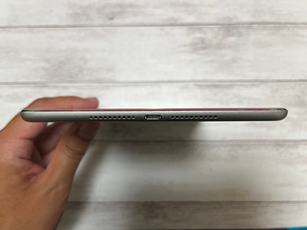 iPad mini4 64GB Wi-Fi+Cellular（ロック解除済）