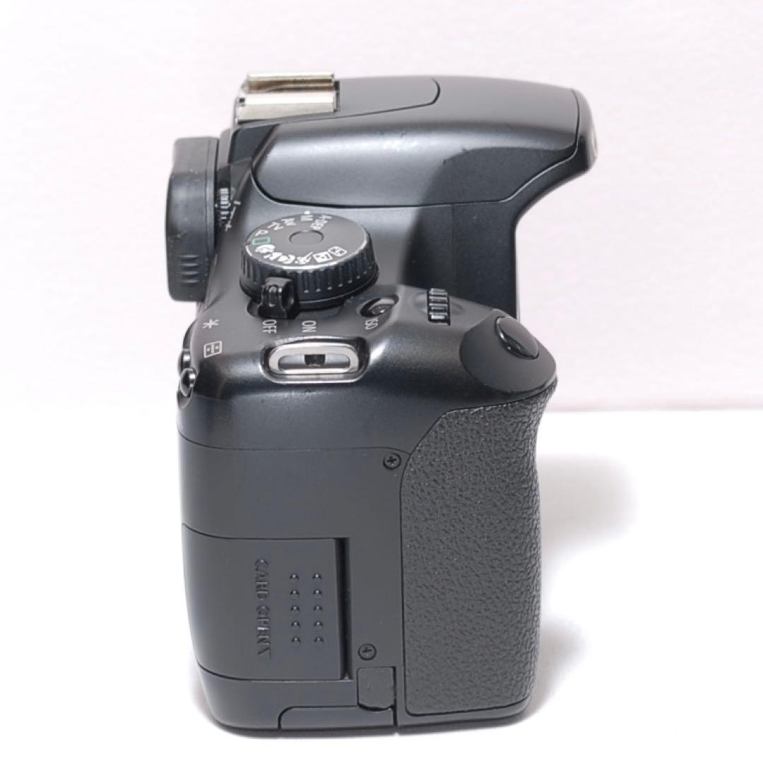 ✨超望遠レンズデビュー✨Canon Kiss X2✨ ダブルレンズ✨作例あり✨