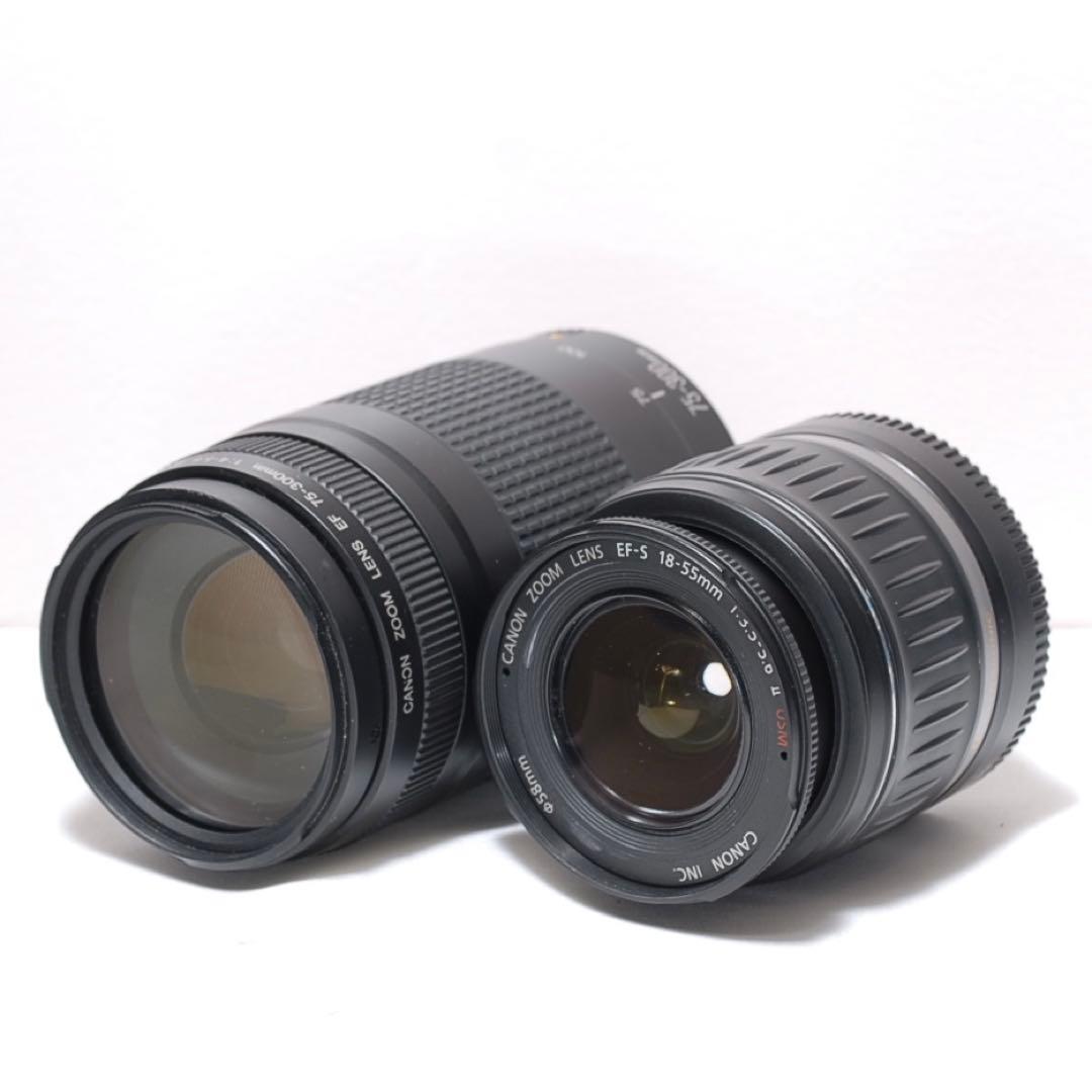 ✨超望遠レンズデビュー✨Canon Kiss X2✨ ダブルレンズ✨作例あり✨