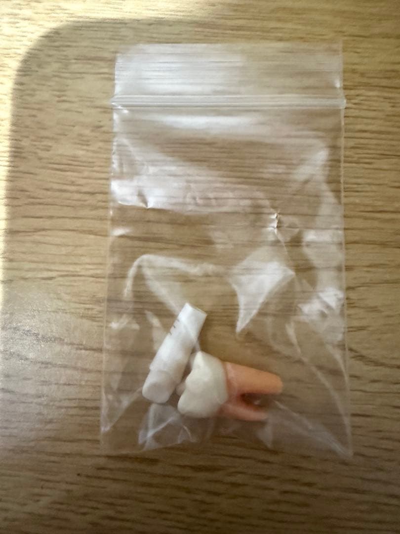 ６月限定値下げ　NISSIN 額模型 歯科模型 セット　歯科衛生士