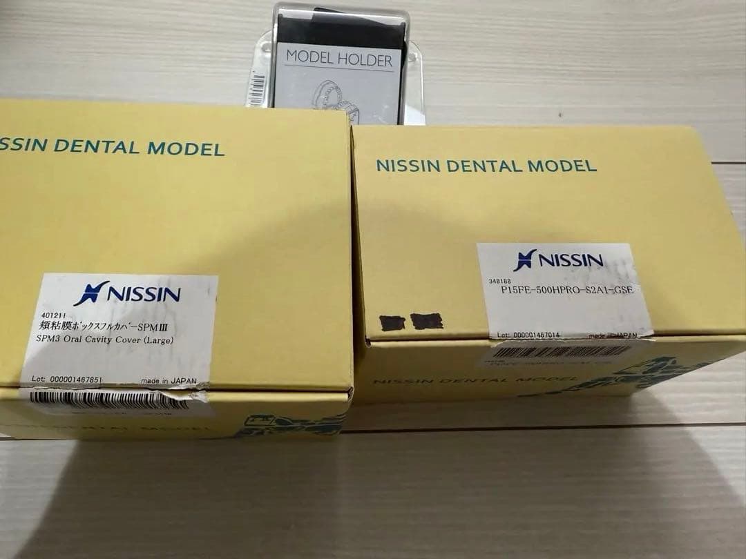 ６月限定値下げ　NISSIN 額模型 歯科模型 セット　歯科衛生士
