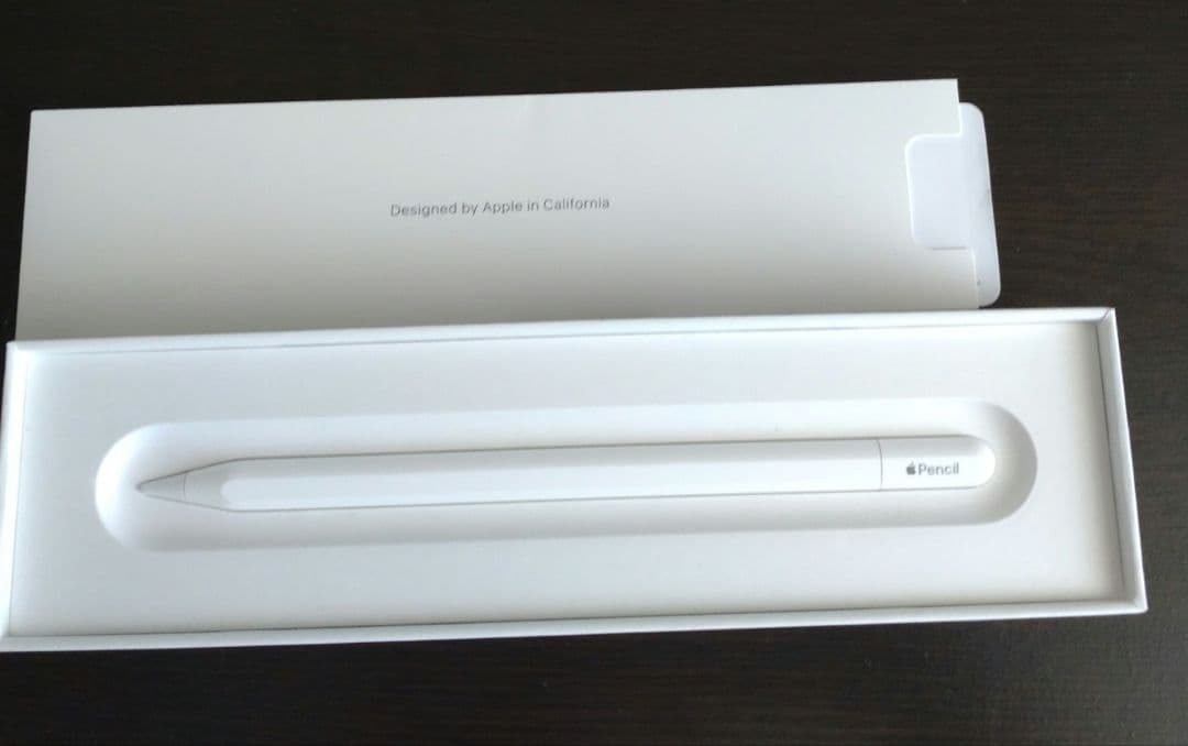 Apple Pencil （USB-C） 元箱付き