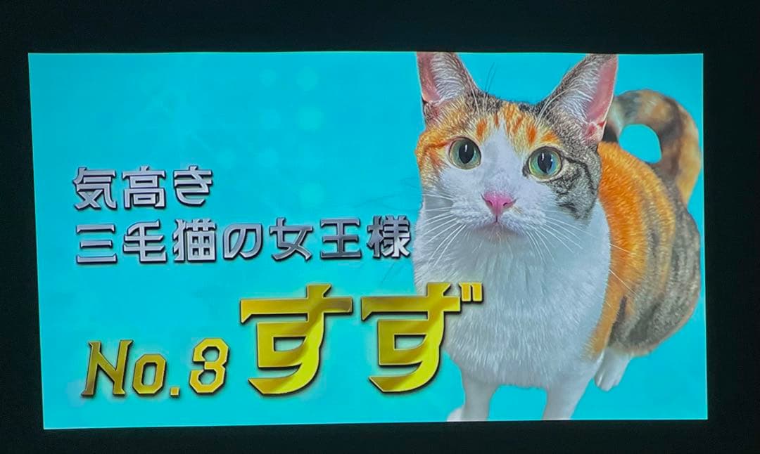 美品 NEBULA Capsul 2 プロジェクター 公式トラベルケース付き