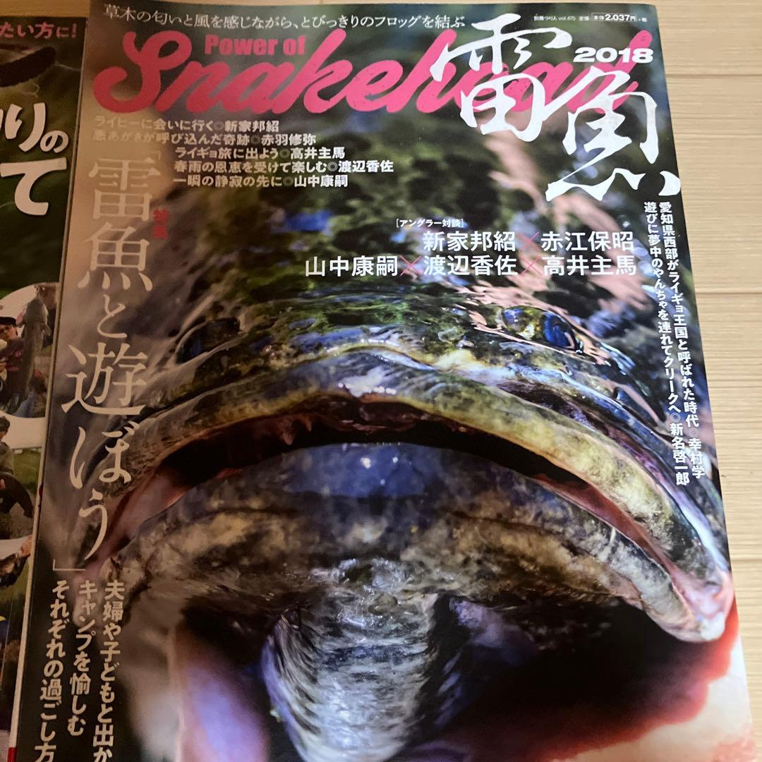 雷魚　ブック&DVDセット　なまず　新家邦紹　高井主馬　ラッティツイスター