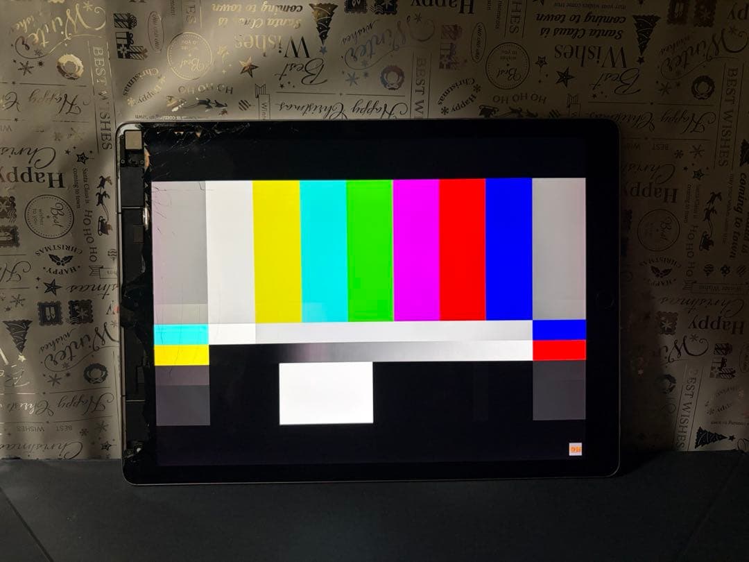 ipad pro (第二世代)ジャンク