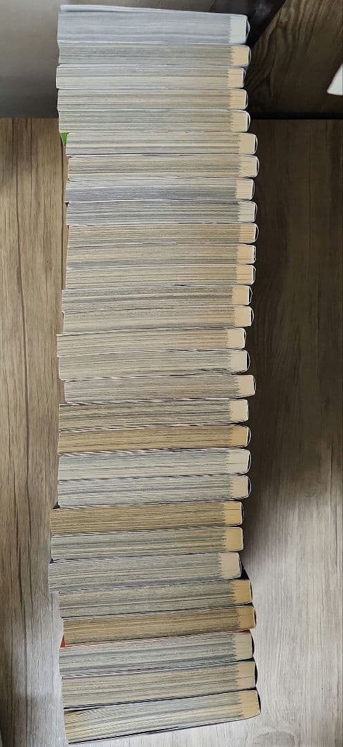 ヴィンランド・サガ 完結 全巻セット 29冊 幸村誠