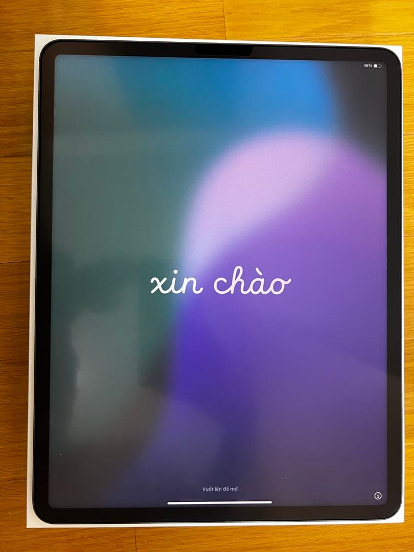 iPadPro第5世代12.9インチ残量98%Pencil付WiFi 256GB