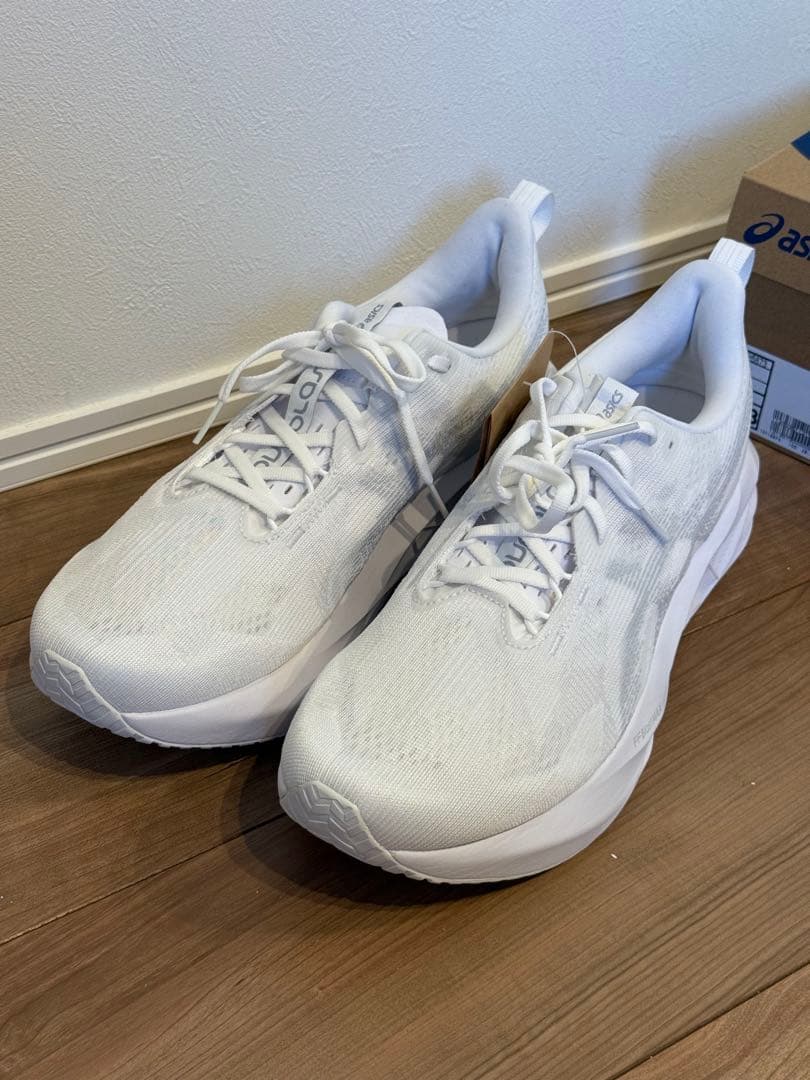 アシックス ノヴァブラスト5 29cm