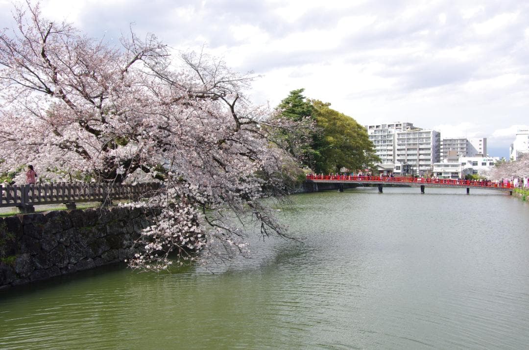 超美品PENTAX K-5 II＋18-135mm ＋ストロボ＋ショット数226