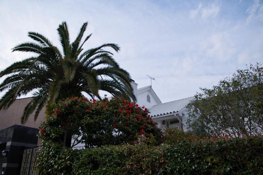 超美品PENTAX K-5 II＋18-135mm ＋ストロボ＋ショット数226