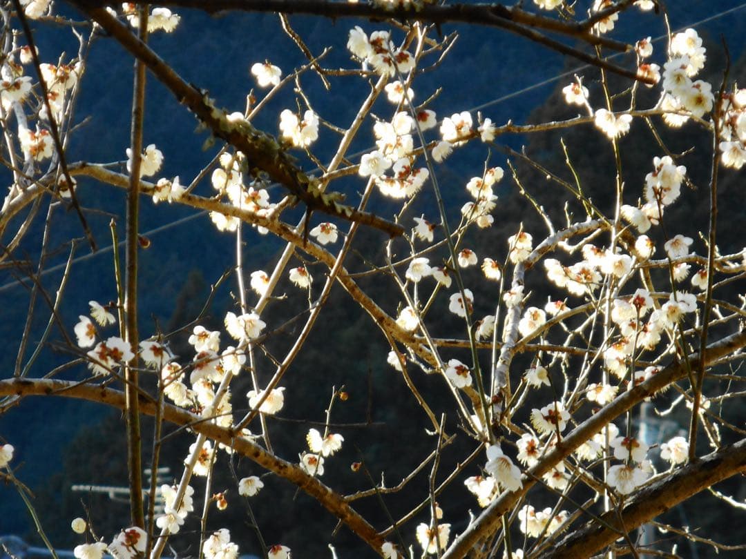 Nikon coolpix A300 ニコン　デジカメ　SDカード付【2GB】