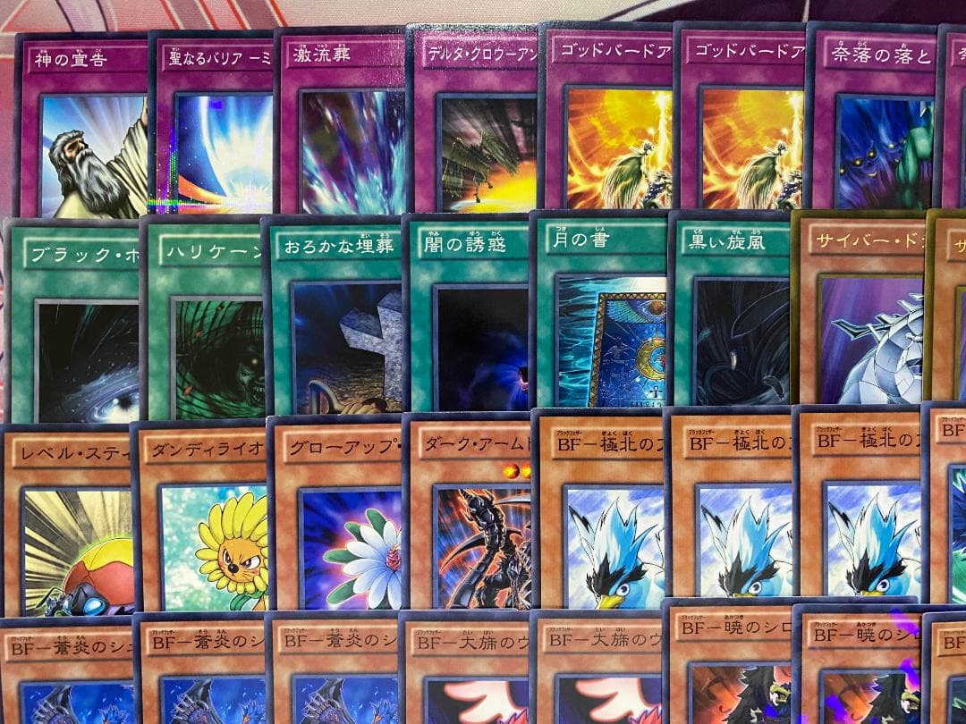 【1103環境ゲートボール】BF　ブラックフェザー　本格構築済みデッキ　遊戯王