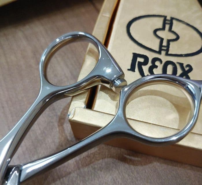 極美品&2本セット販売【柳生 REOX シザー 美容師 ハサミ 美容室】