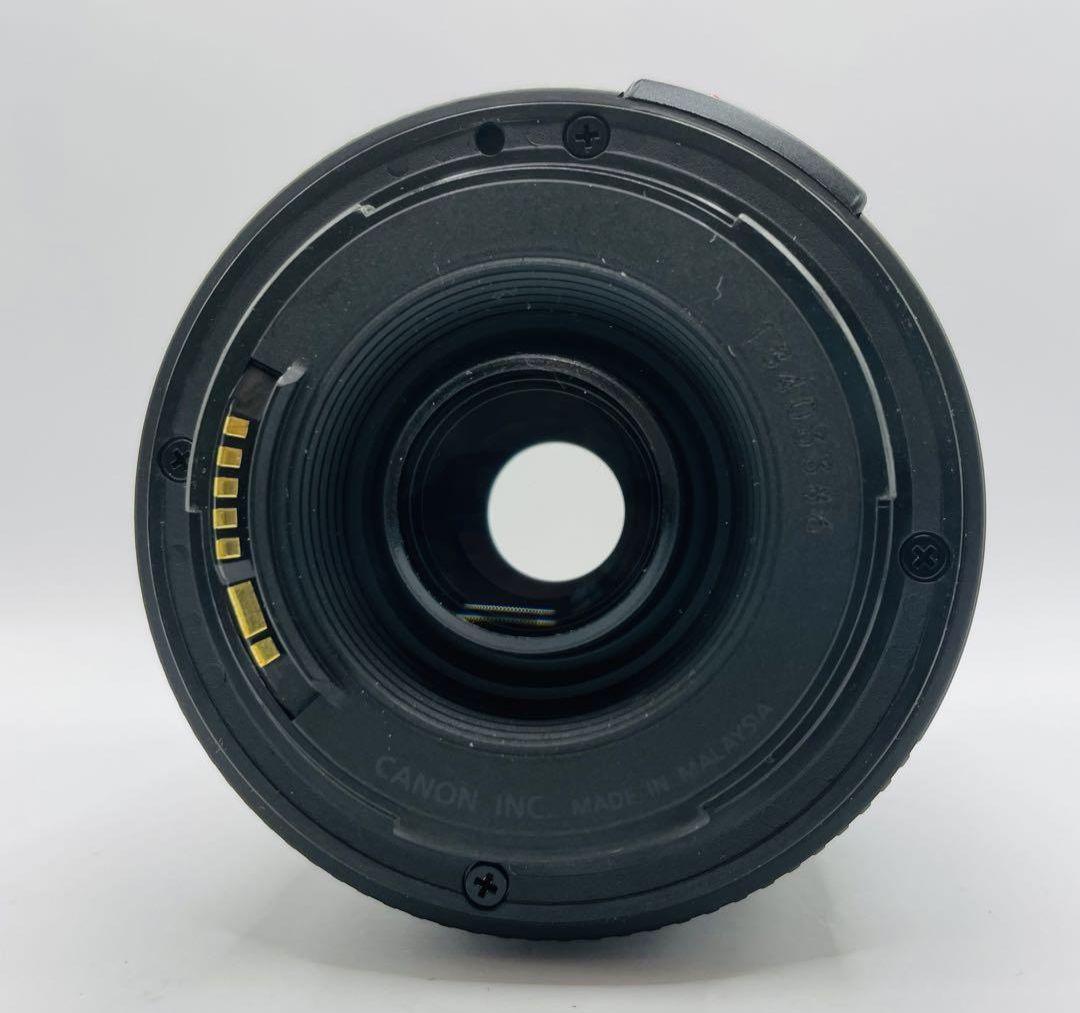 1月26日限定価格【超望遠レンズ】Canon EF 100-300mm USM