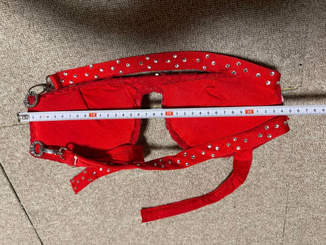 レッドベリーダンスセットアップ