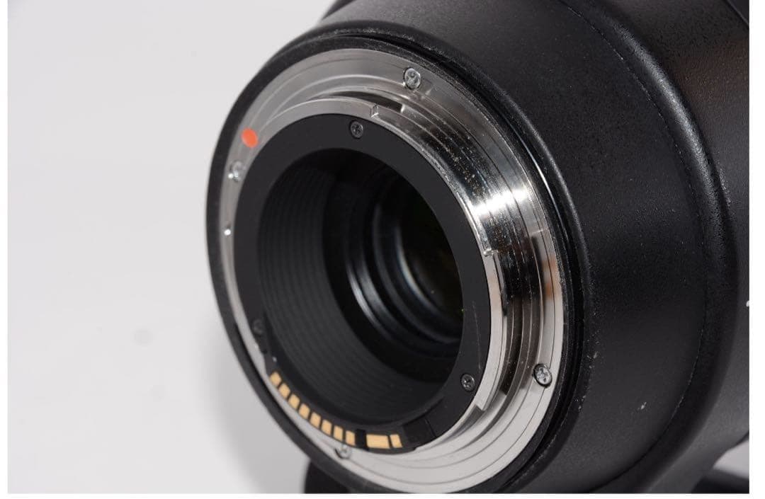 ラ*き様 SIGMA 150-600mm Contemporary EFマウント