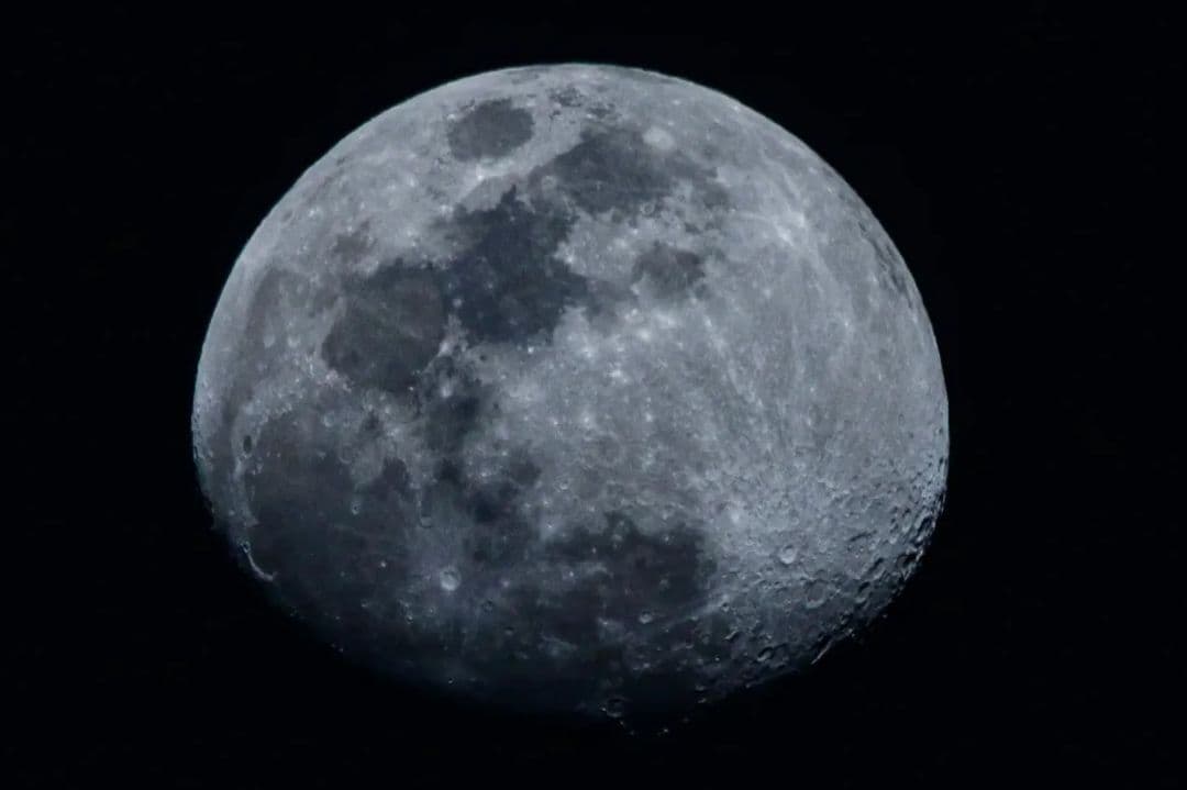 ラ*き様 SIGMA 150-600mm Contemporary EFマウント