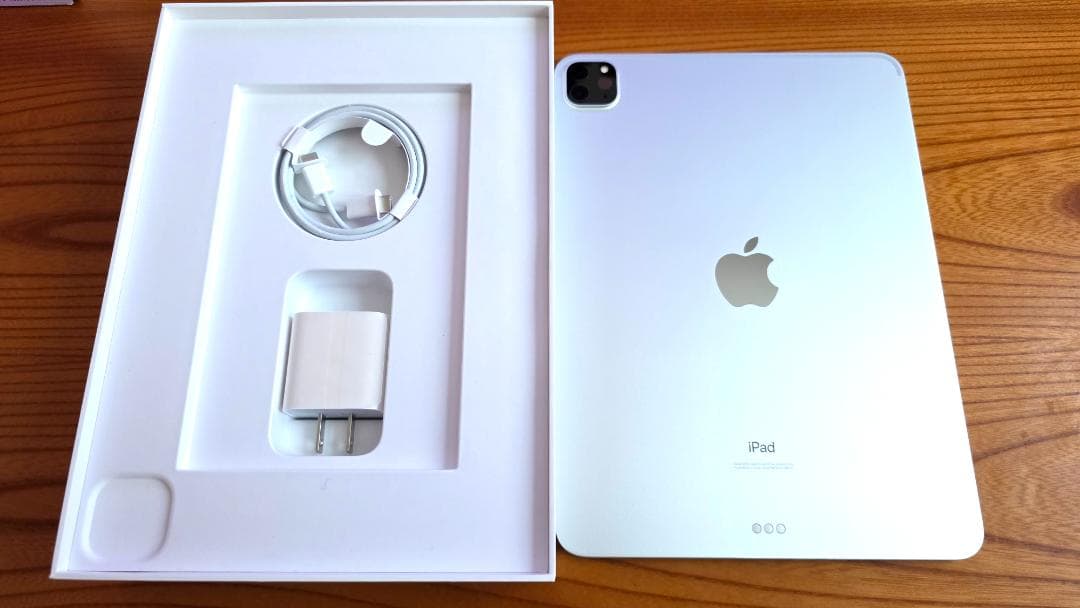 iPad Pro 11インチ 第2世代 256GB Wi-Fi シルバー おまけ