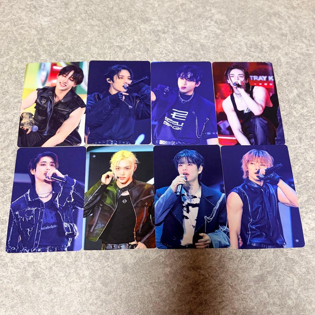 Stray Kids TOYWORLD 完全生産　トレカ　タワレコ　IDフォト