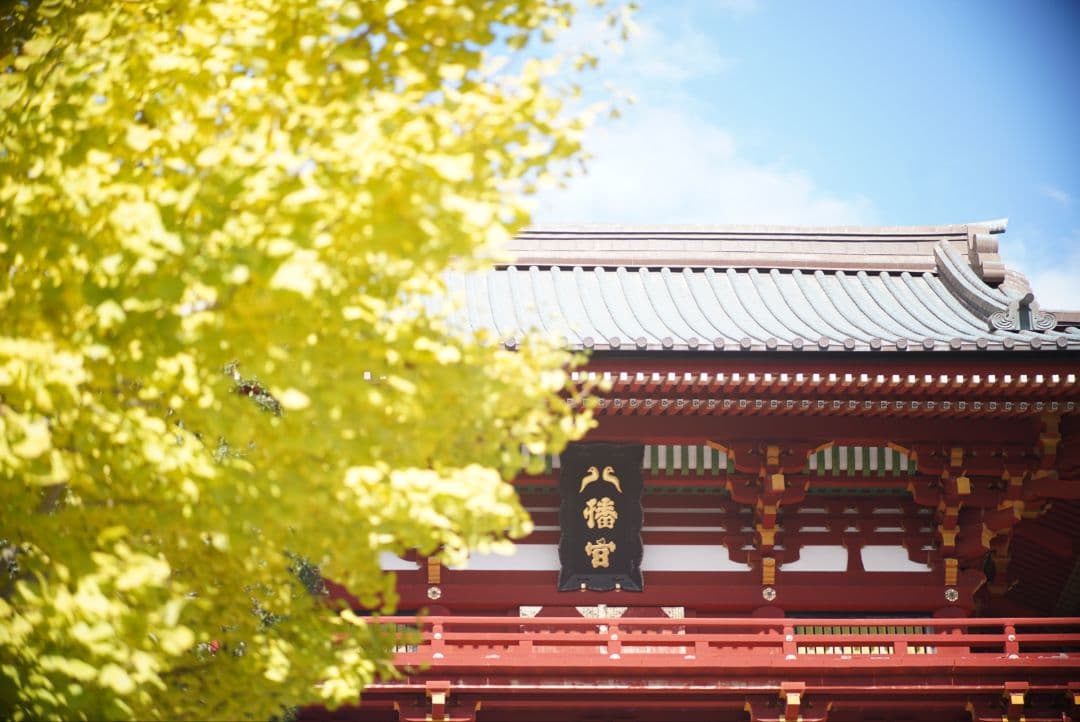 【動作確認済】OLYMPUS ペン用 100mm f3.5純正フード&キャップ付