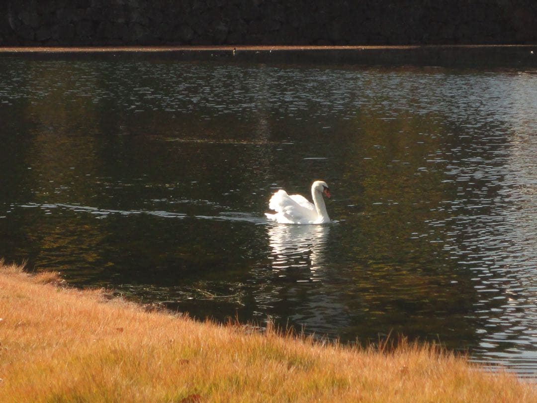 SONY Cyber-shot DSC-W380 ブラック 完動品