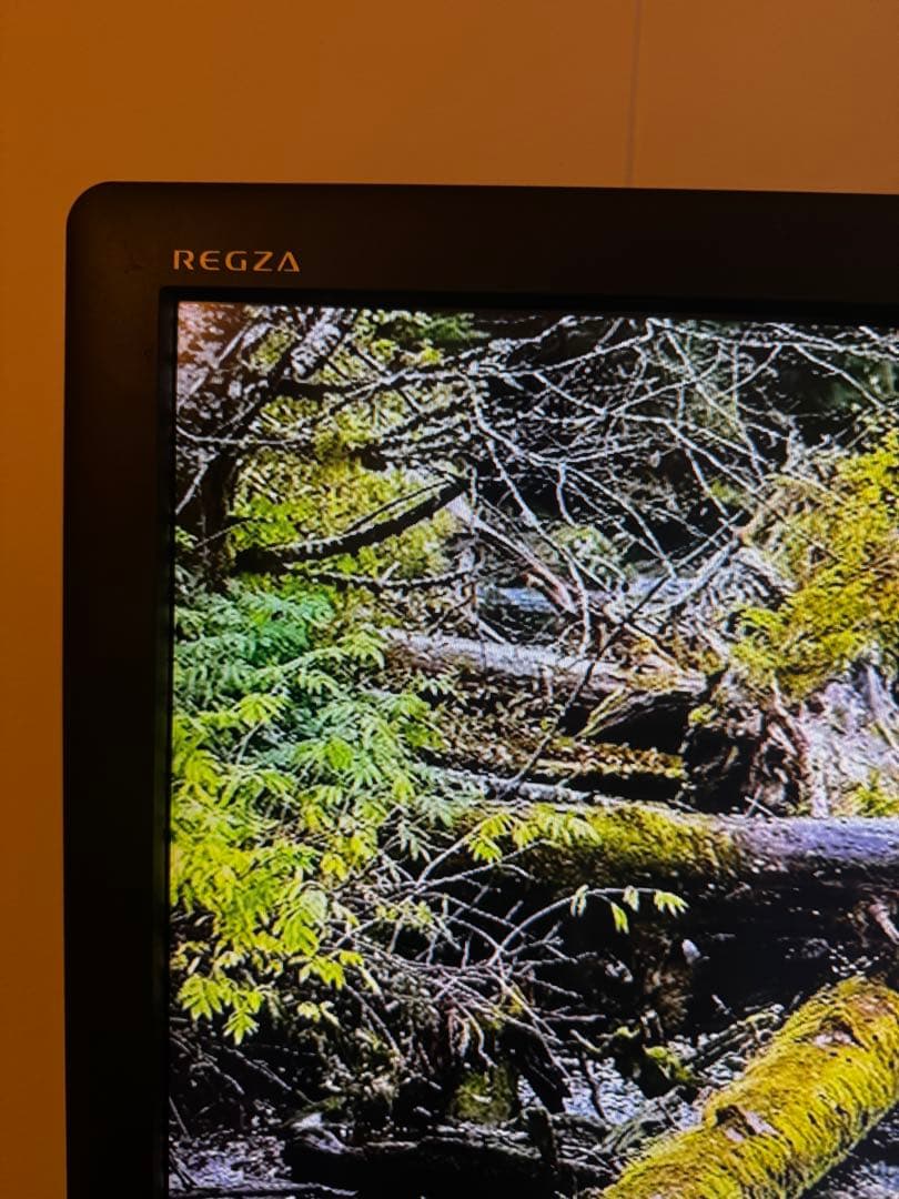 42インチ　TOSHIBA REGZA