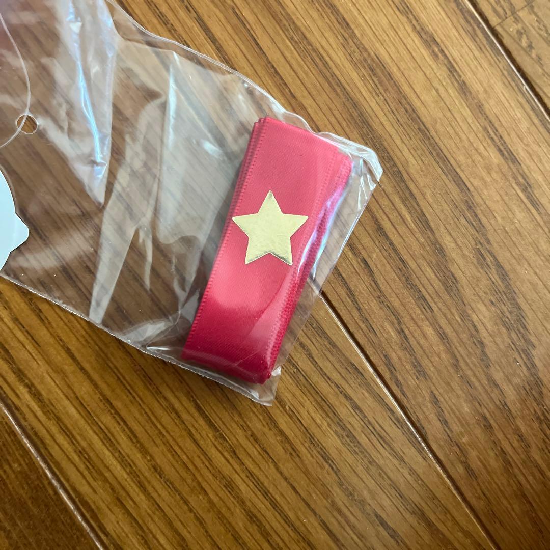 セーラームーン★セラマーズ★PEACH JOHNコラボ☆完売品☆C70S小島陽菜