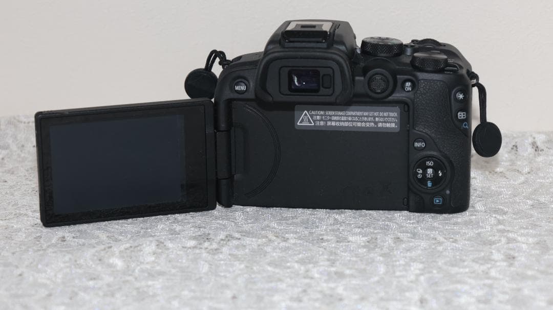 完動/極美品 Canon EOS R10 ボディー