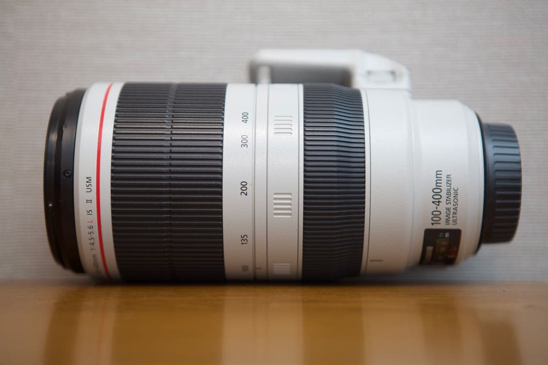 ❤️400mm望遠❤️キヤノン EF 100-400mm L IS ⅱ USM❤️