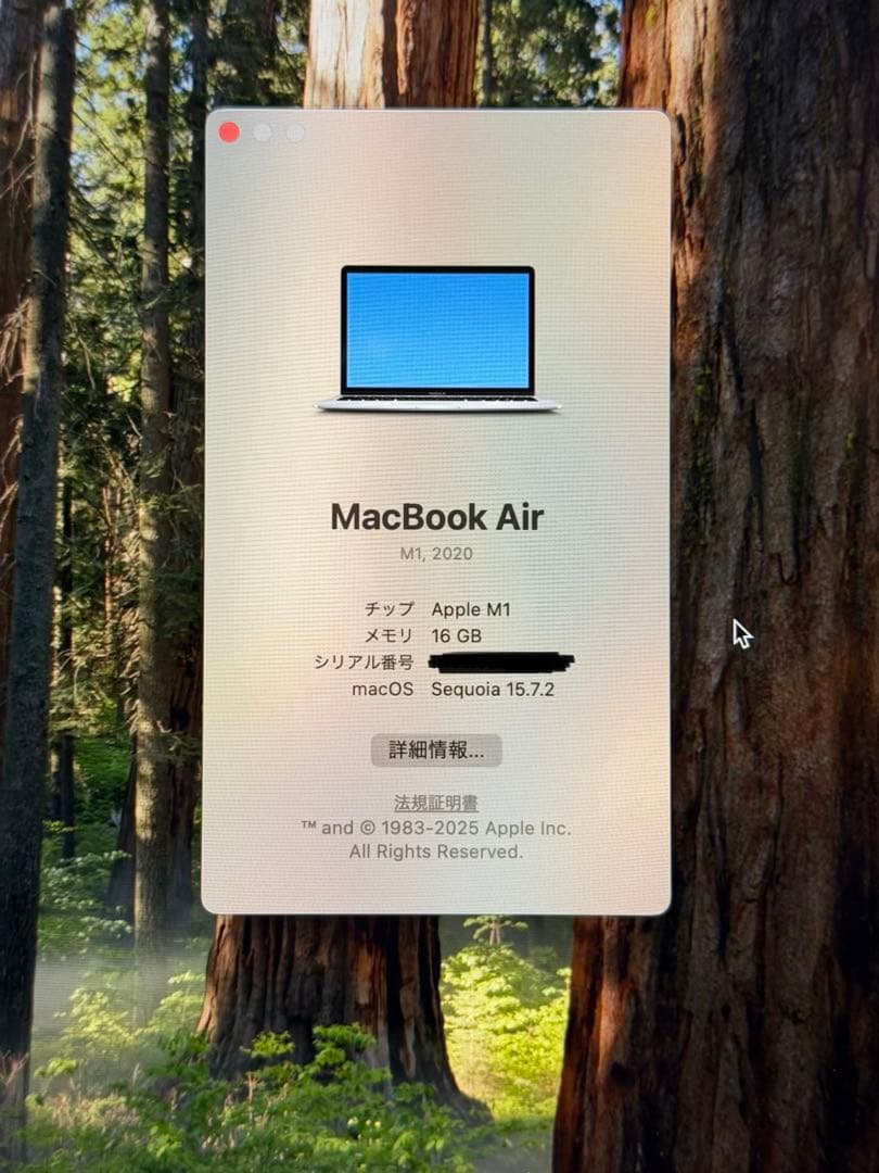 ほぼ新品Apple MacBook Air (M1, 2020) シルバーUS