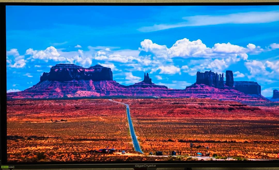 iodata有機EL EX-GDQ271UEL