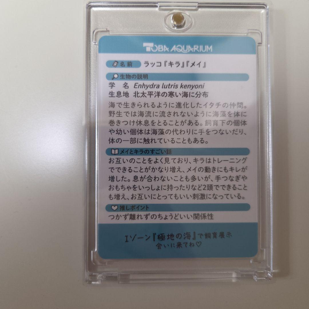 鳥羽水族館　コレクションカード　レア　メイ　キラ
