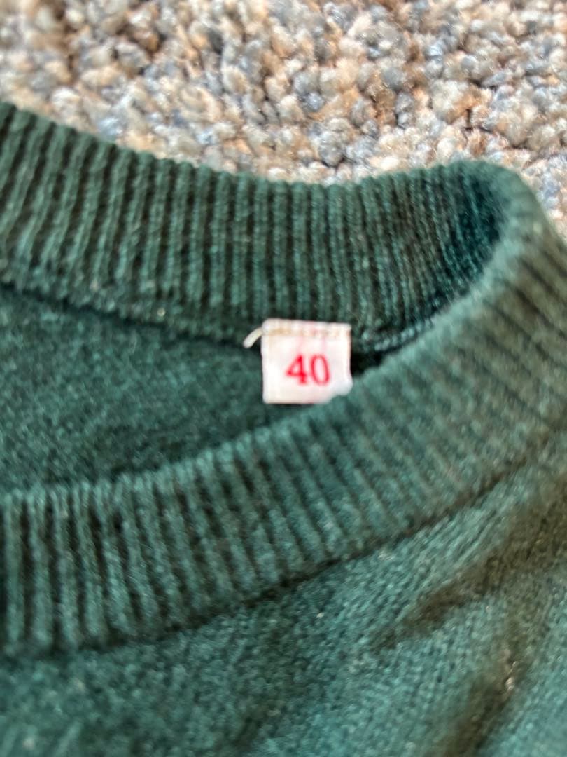 | DANTON｜ ラムウールクルーネックニットプルオーバー・・グリーン40