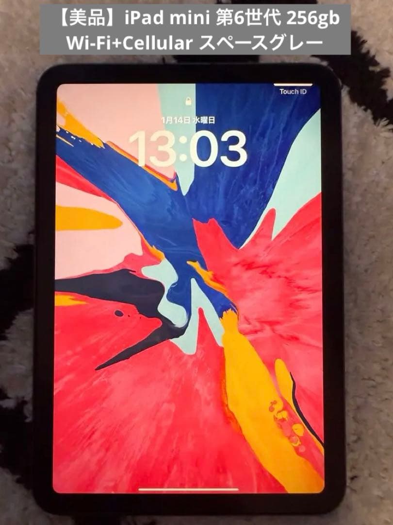 【美品】iPad mini 第6世代 256 Cellular スペースグレー