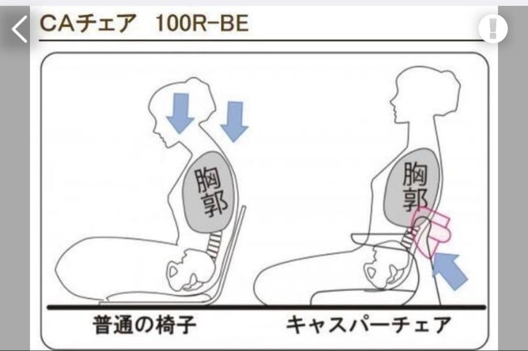 座椅子 起立木工 CAチェア 100R-BE キャスパーチェア