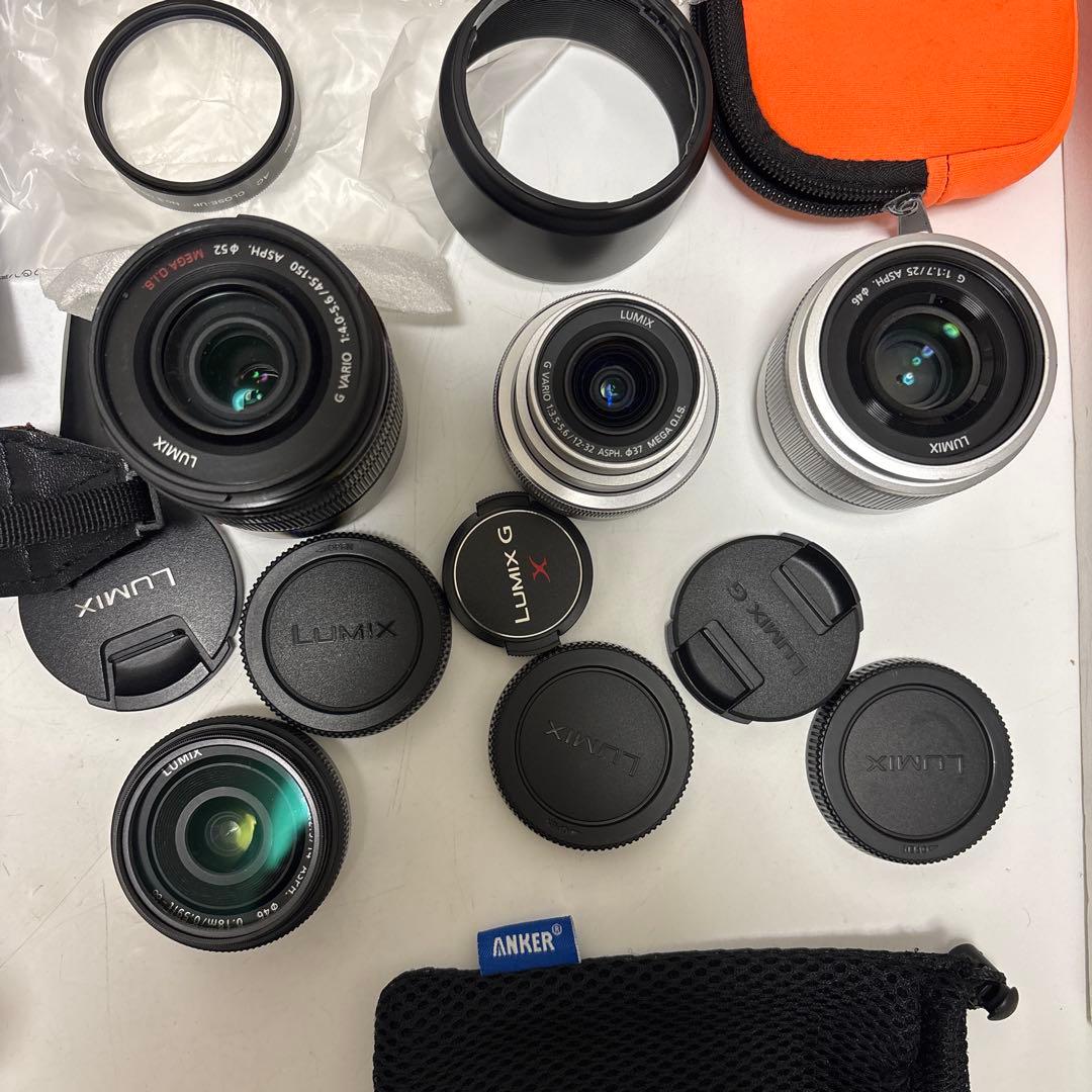 LUMIX G ミラーレス一眼カメラ DC-GF9W ダブルレンズキット+2点