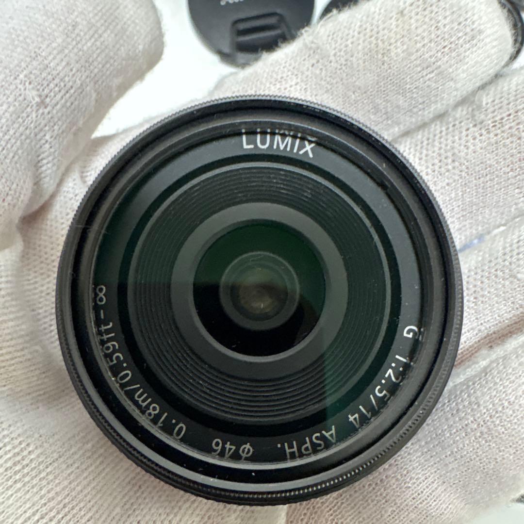 LUMIX G ミラーレス一眼カメラ DC-GF9W ダブルレンズキット+2点